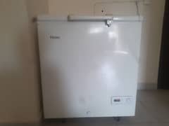 Haier Freezer