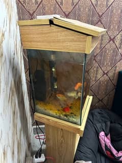 Fish Aquarium For sale with 4 Healthy Fish