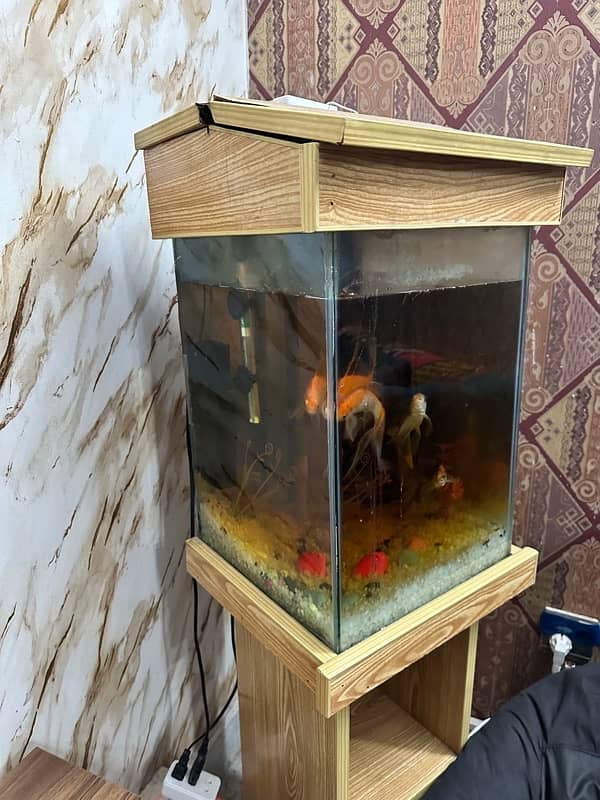 Fish Aquarium For sale with 4 Healthy Fish 2