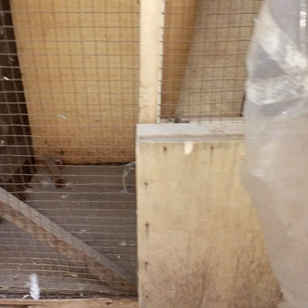 cage for sale serious Byers contact 03201142811 1