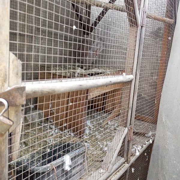 cage for sale serious Byers contact 03201142811 5