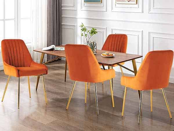 Dinning chairs| Cafe Chairs| Chairs| Restaurant chairs 11