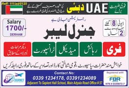 UAE JOB VISA