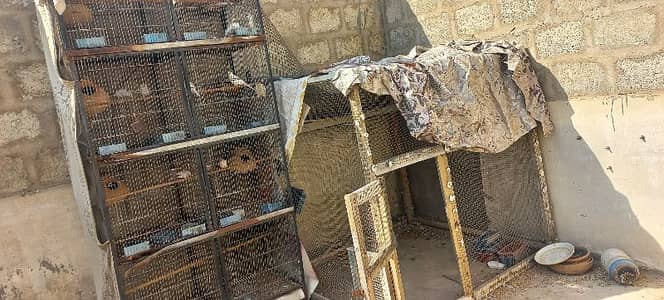 Iron cage 8 portion and wooden cage for sale