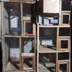 cage for sell 3000