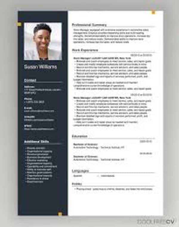 Online Master Resume 0