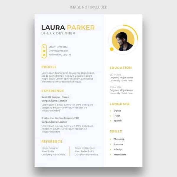 Online Master Resume 4