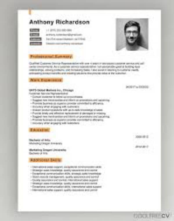 Online Master Resume 9