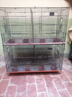 cages 0335-1576900