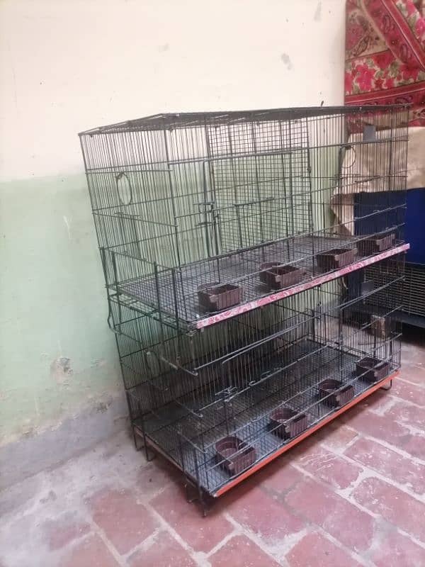 cages 0335-1576900 1