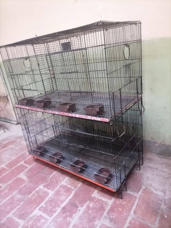 cages 0335-1576900 2