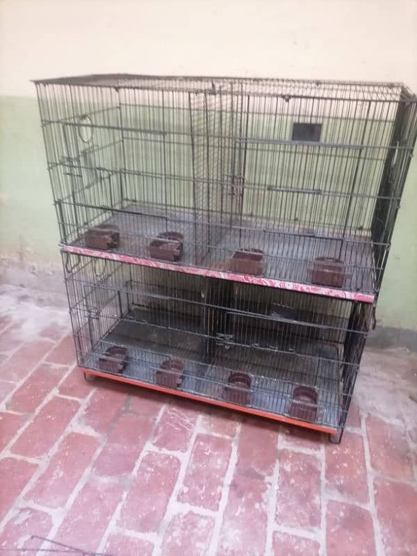 cages 0335-1576900 3