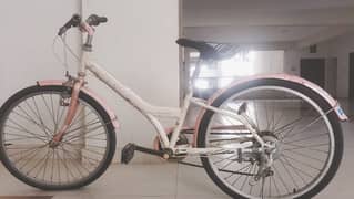 Girl bicycle gear wali