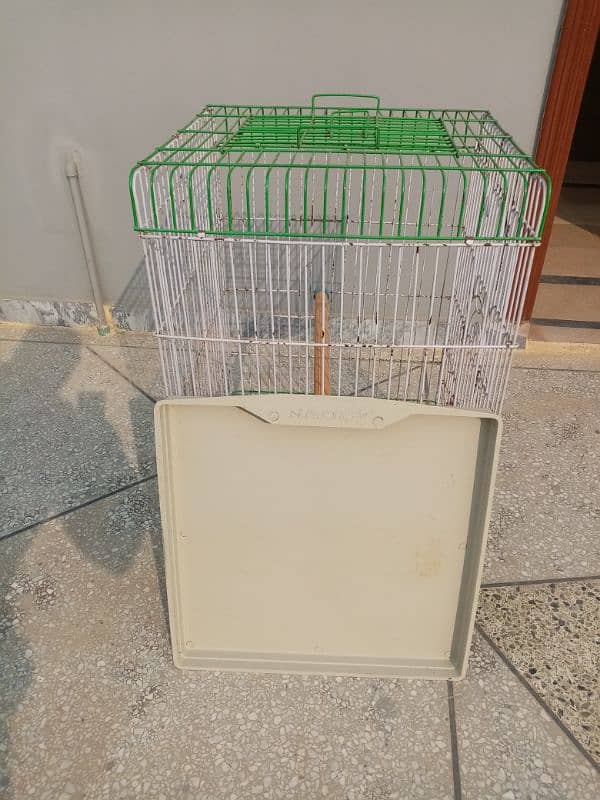 cage, jali for raw parrot 6