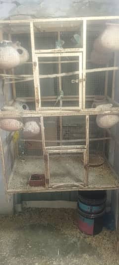 Australian parrots with cage for sale