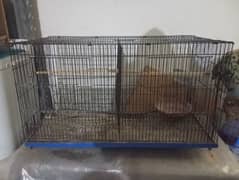 cage for sale