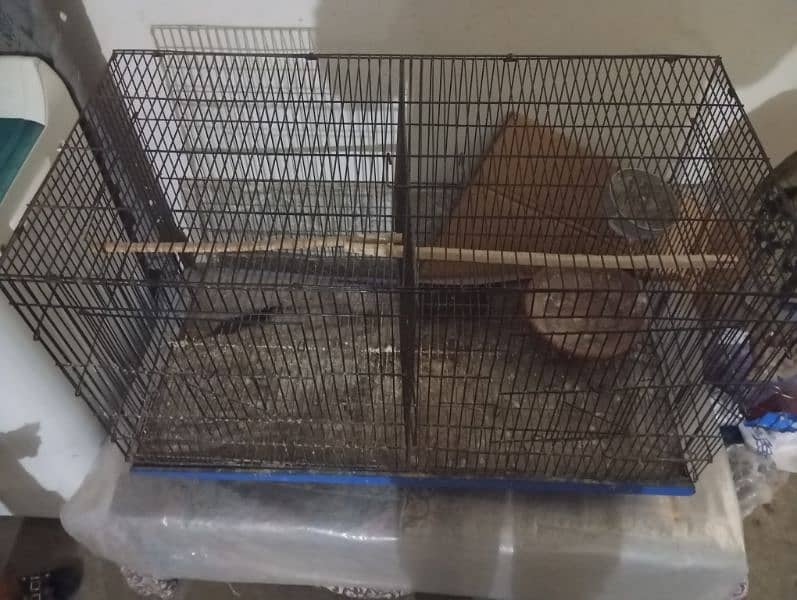 cage for sale 1