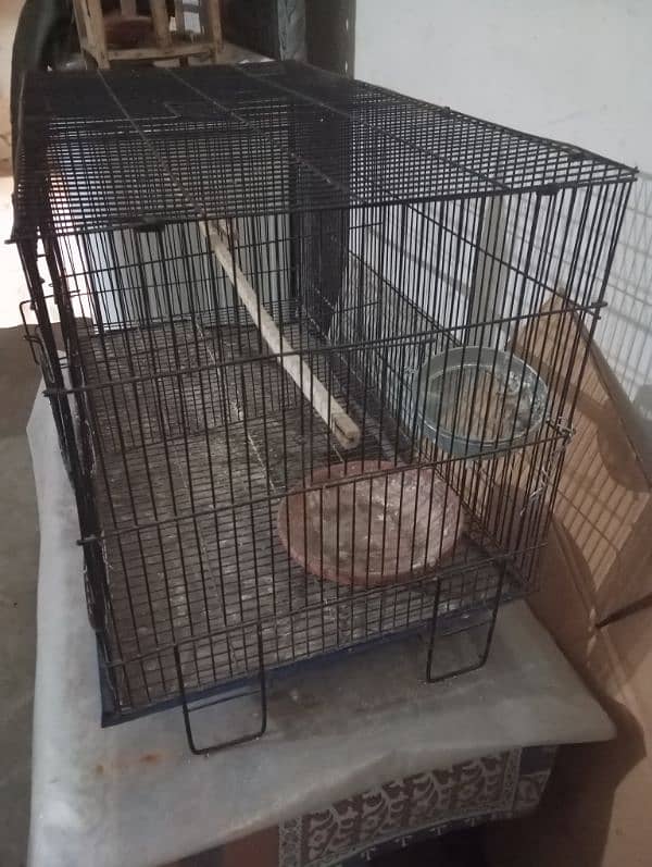 cage for sale 2