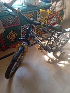 BDF bicycle