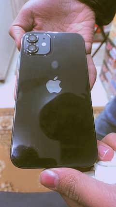 iPhone 12