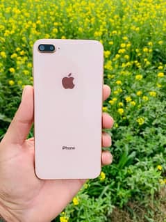 IPHONE 8 PLUS PTA APPROVED 64GB WITH BOX