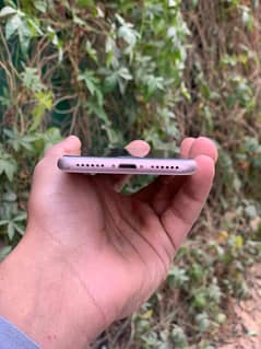 Iphone 7 32gb pta