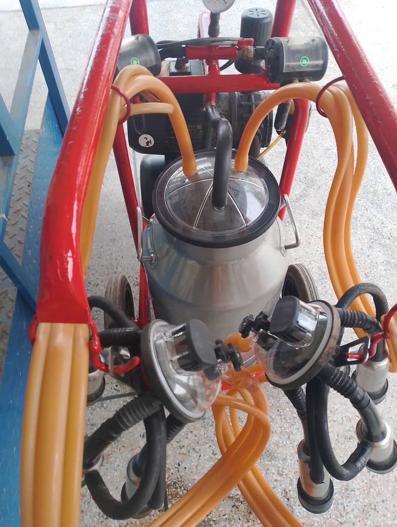 Milking machine Double cluster for sale 2