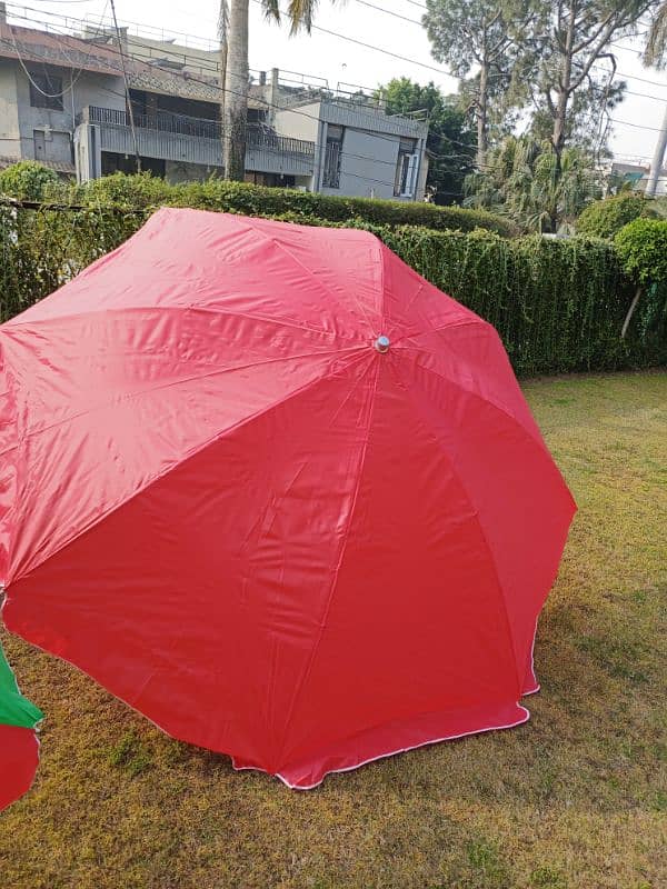 umbrella 5