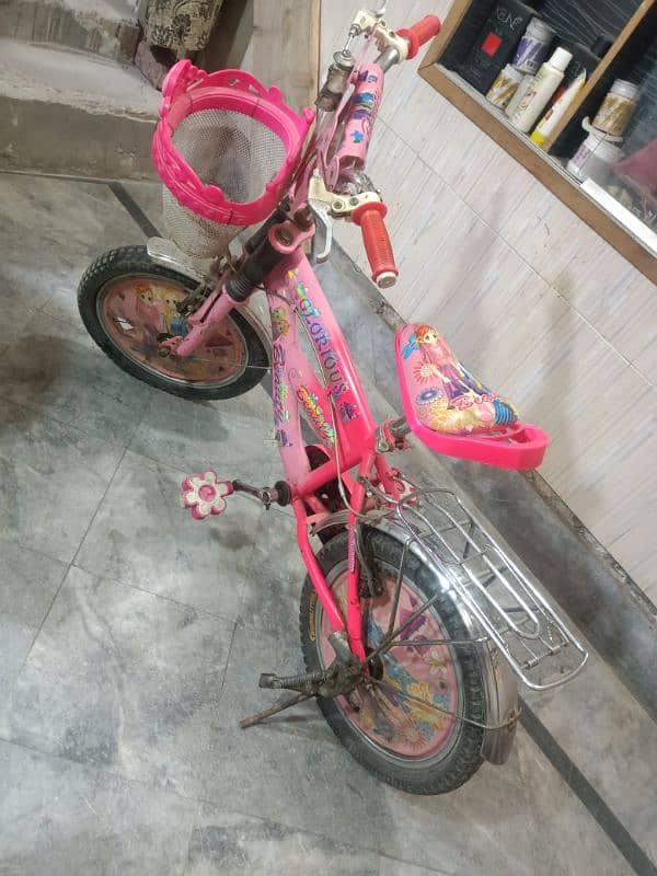 Bicycle for girls 0