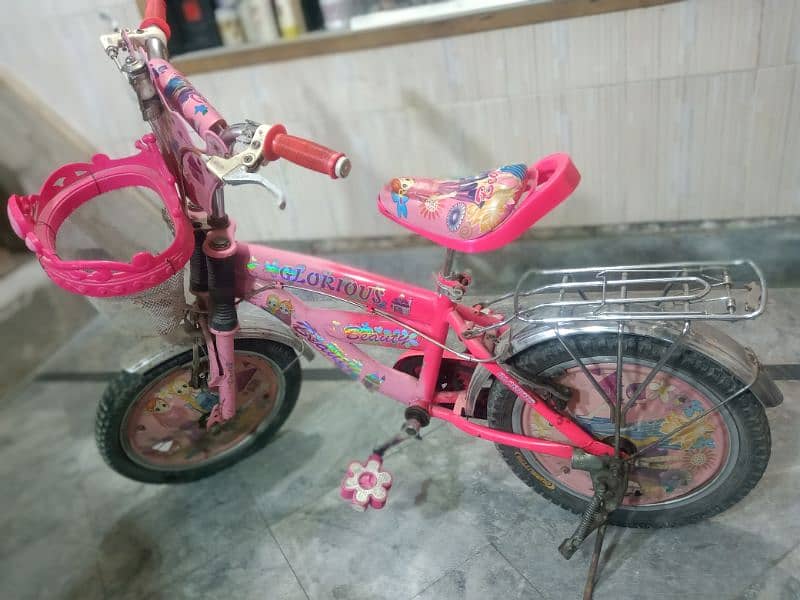 Bicycle for girls 1