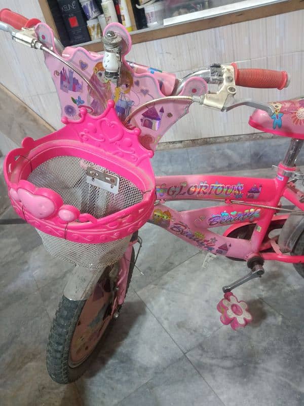 Bicycle for girls 2