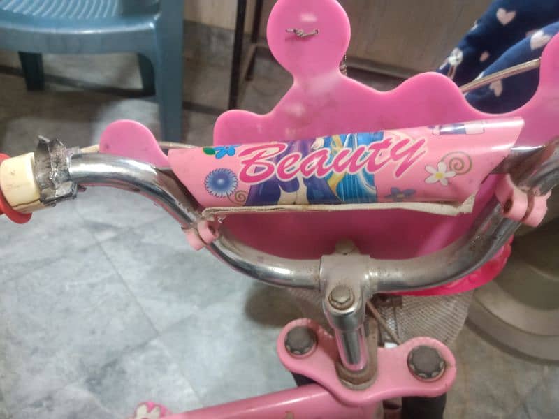 Bicycle for girls 3