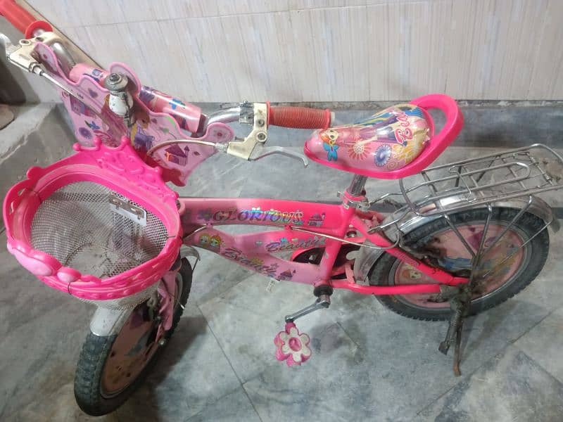 Bicycle for girls 5