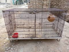 Cages Available for sale.