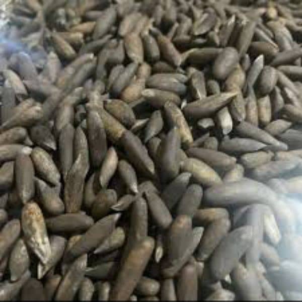 Chalghoza / Dry Fruit 0