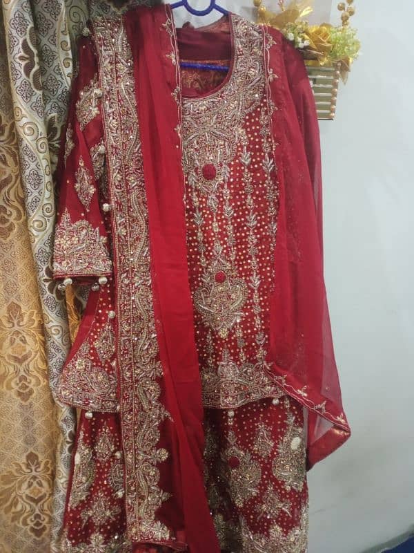 Tawakkle brand Bridal Sharara 1