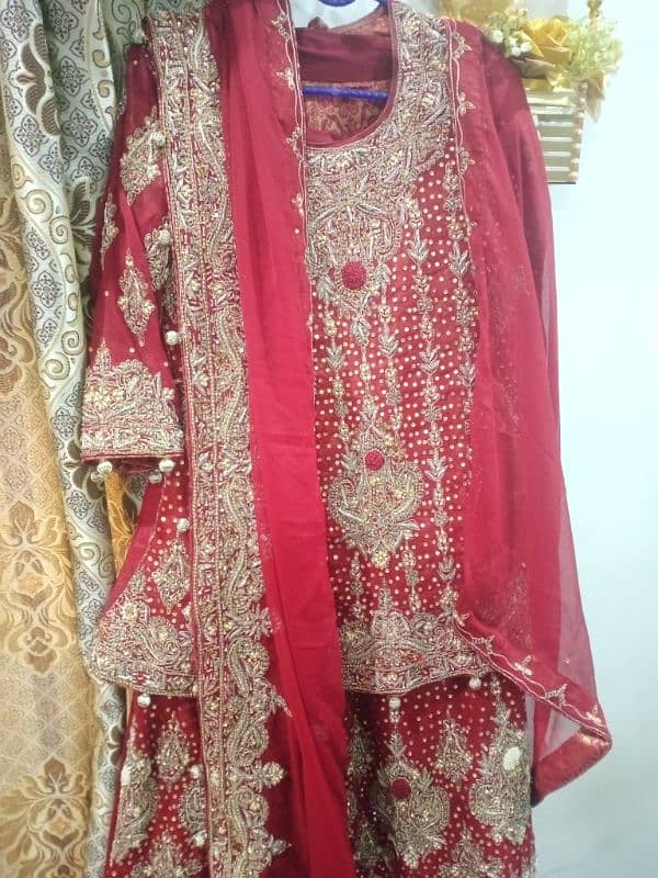 Tawakkle brand Bridal Sharara 2