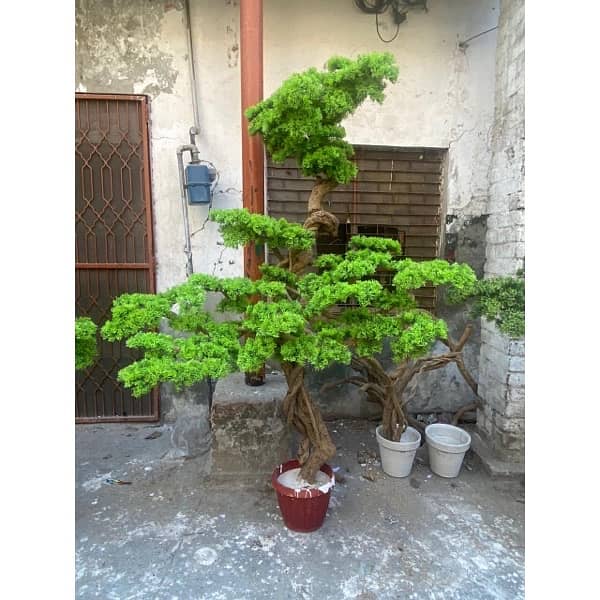 Artficial Bonsai trees and Plants 0