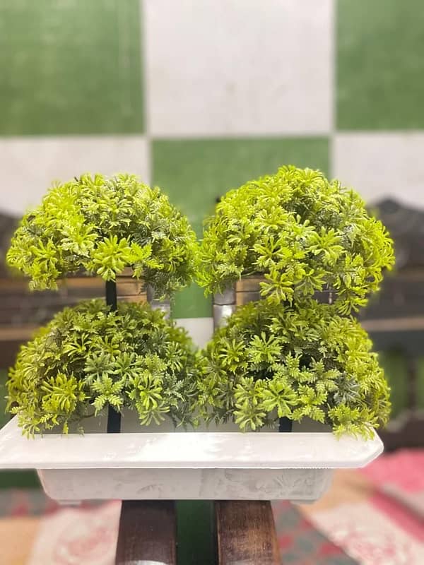 Artficial Bonsai trees and Plants 7