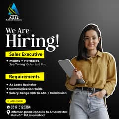 hiring sales executive males and females in Aziz builders & Developers