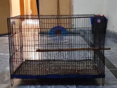 Cage pinjra for sale