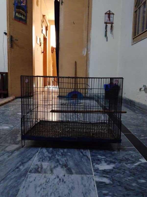 Cage pinjra for sale 1