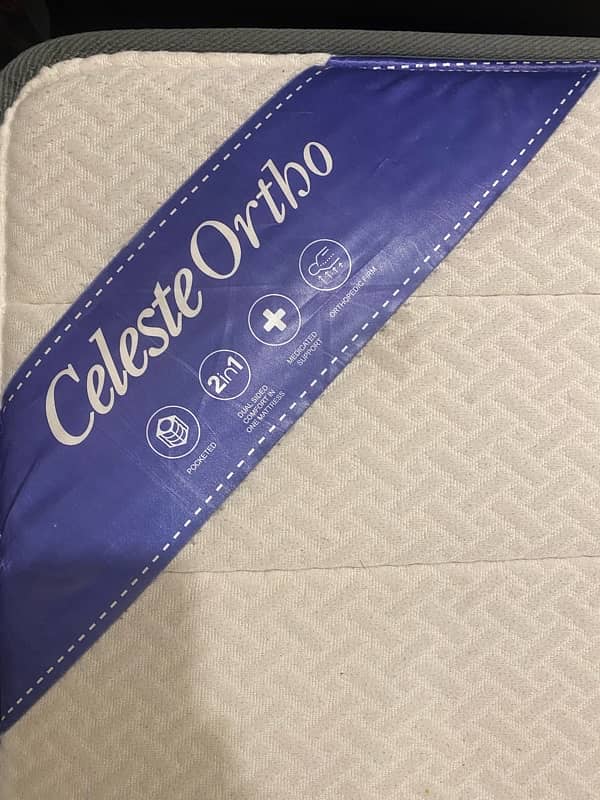 Master Celeste Eterna Memory Spring Mattress foam for sale 2