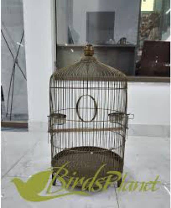 Bird food and  Accessories 5