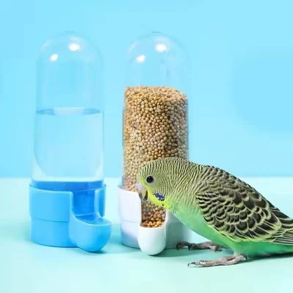 Bird food and  Accessories 13