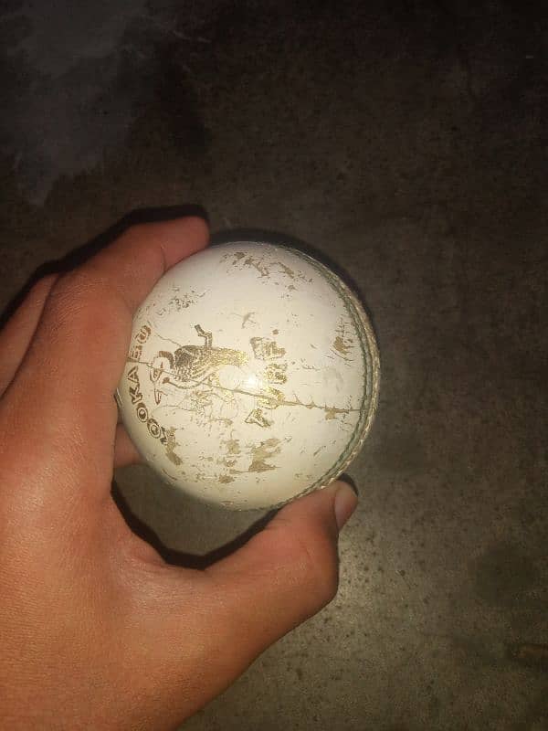 I am selling kookaburra original Australian hard ball 1