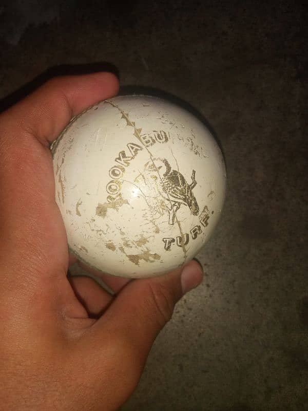 I am selling kookaburra original Australian hard ball 3