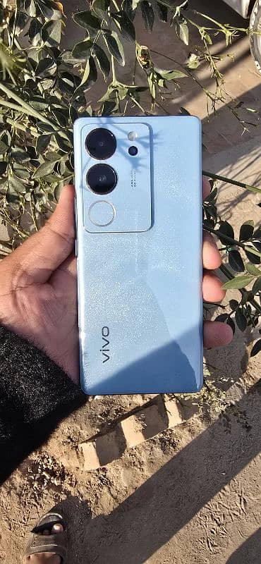 vivo v29 with box and charger 10 by 10 4