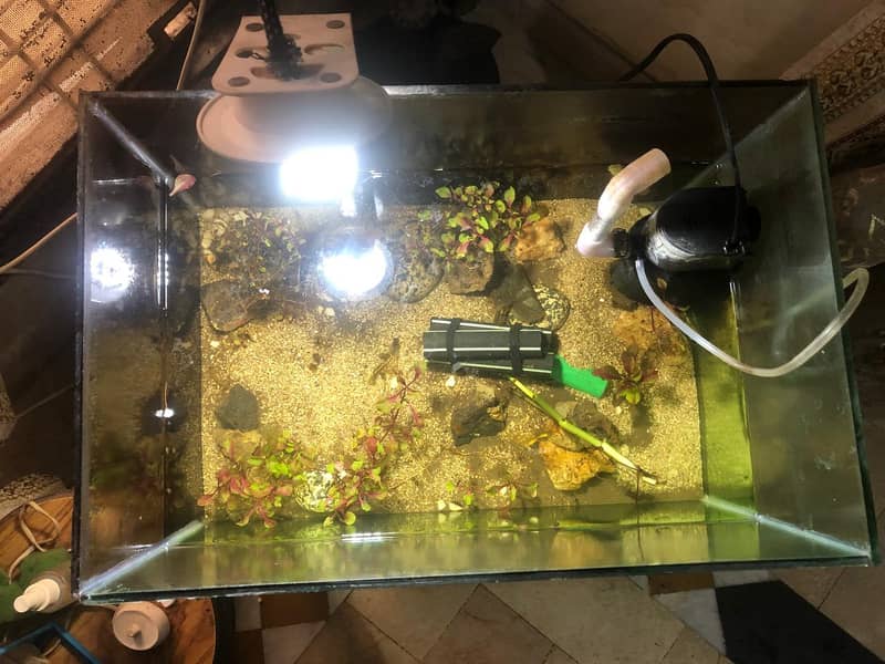 1.5-Foot Aquarium (6mm Glass) + 10W Power Filter for Sale – Lahore 1