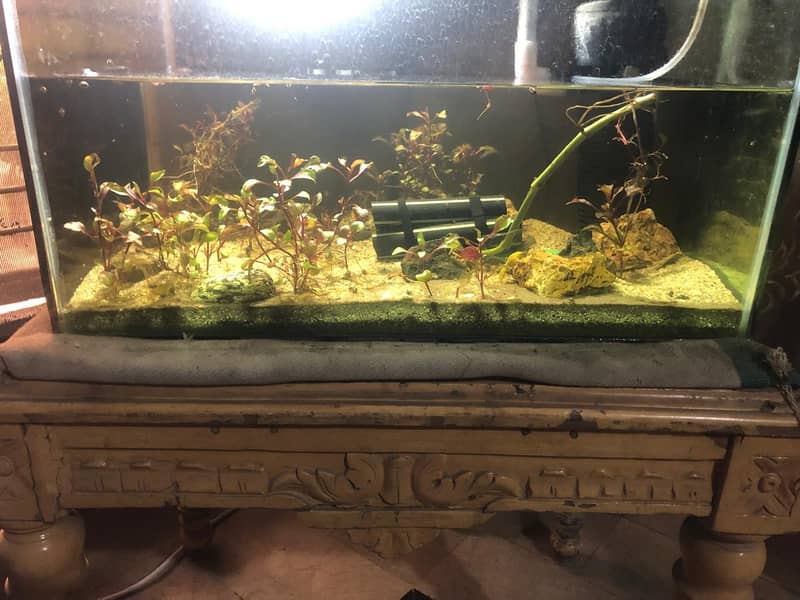 1.5-Foot Aquarium (6mm Glass) + 10W Power Filter for Sale – Lahore 2